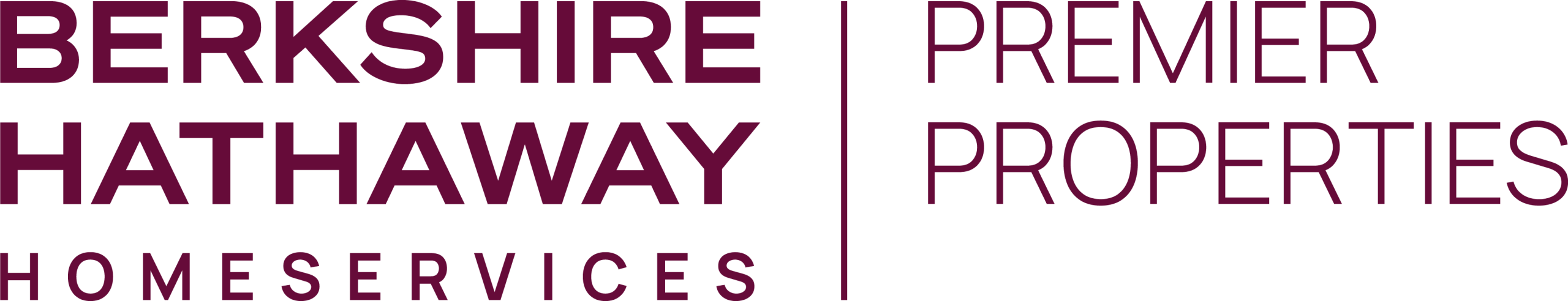 BHHS Premier – Logo 2024 Cab